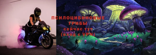 прущая мука Елабуга