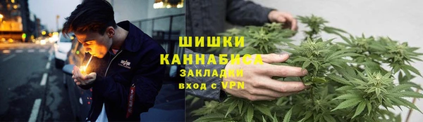 ПСИЛОЦИБИНОВЫЕ ГРИБЫ Вязники