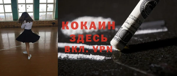 молекула духа Ельня