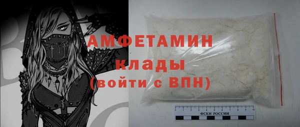 ПСИЛОЦИБИНОВЫЕ ГРИБЫ Вязники