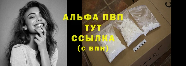 ПСИЛОЦИБИНОВЫЕ ГРИБЫ Вязники