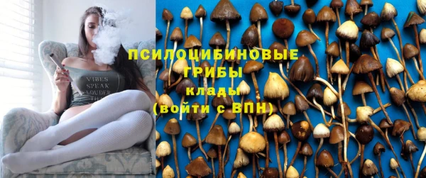 ПСИЛОЦИБИНОВЫЕ ГРИБЫ Вязники