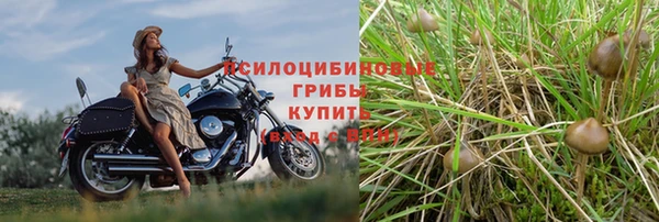 бутират Вязьма