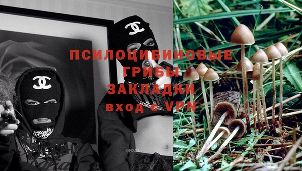 марихуана Елизово